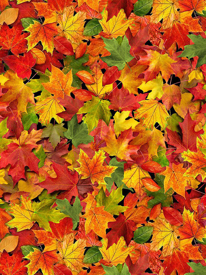 yellow, orange and green tossed leaves