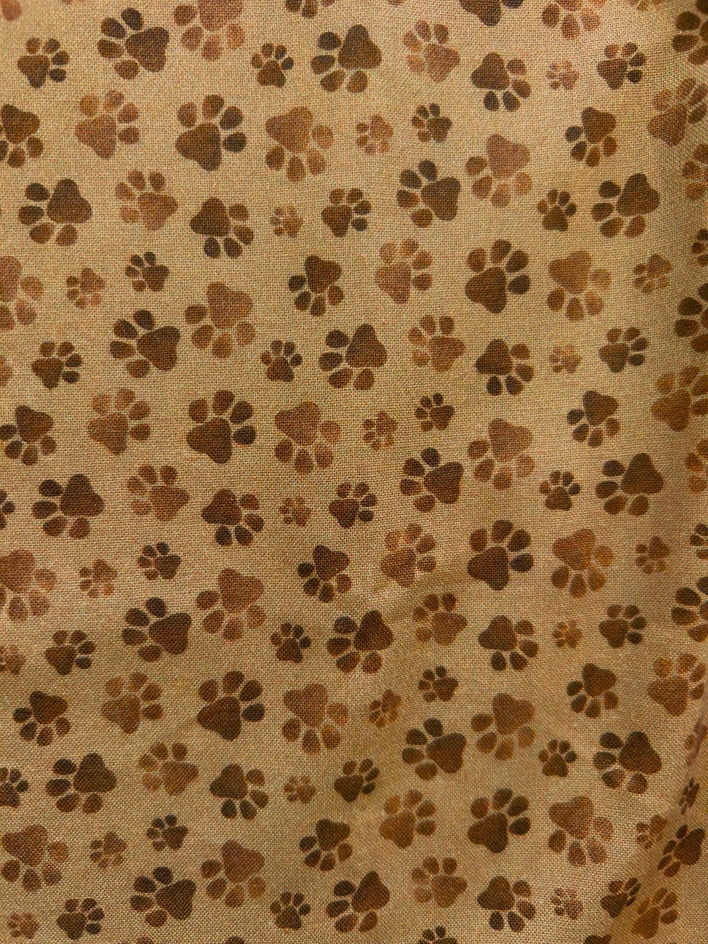 close up of paw print