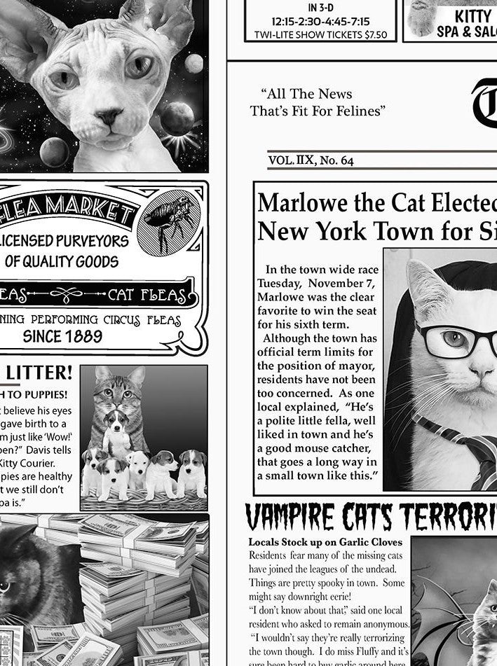 a close up of swatch of our cat chronicle skater dress showing the newspaper articles with cat images