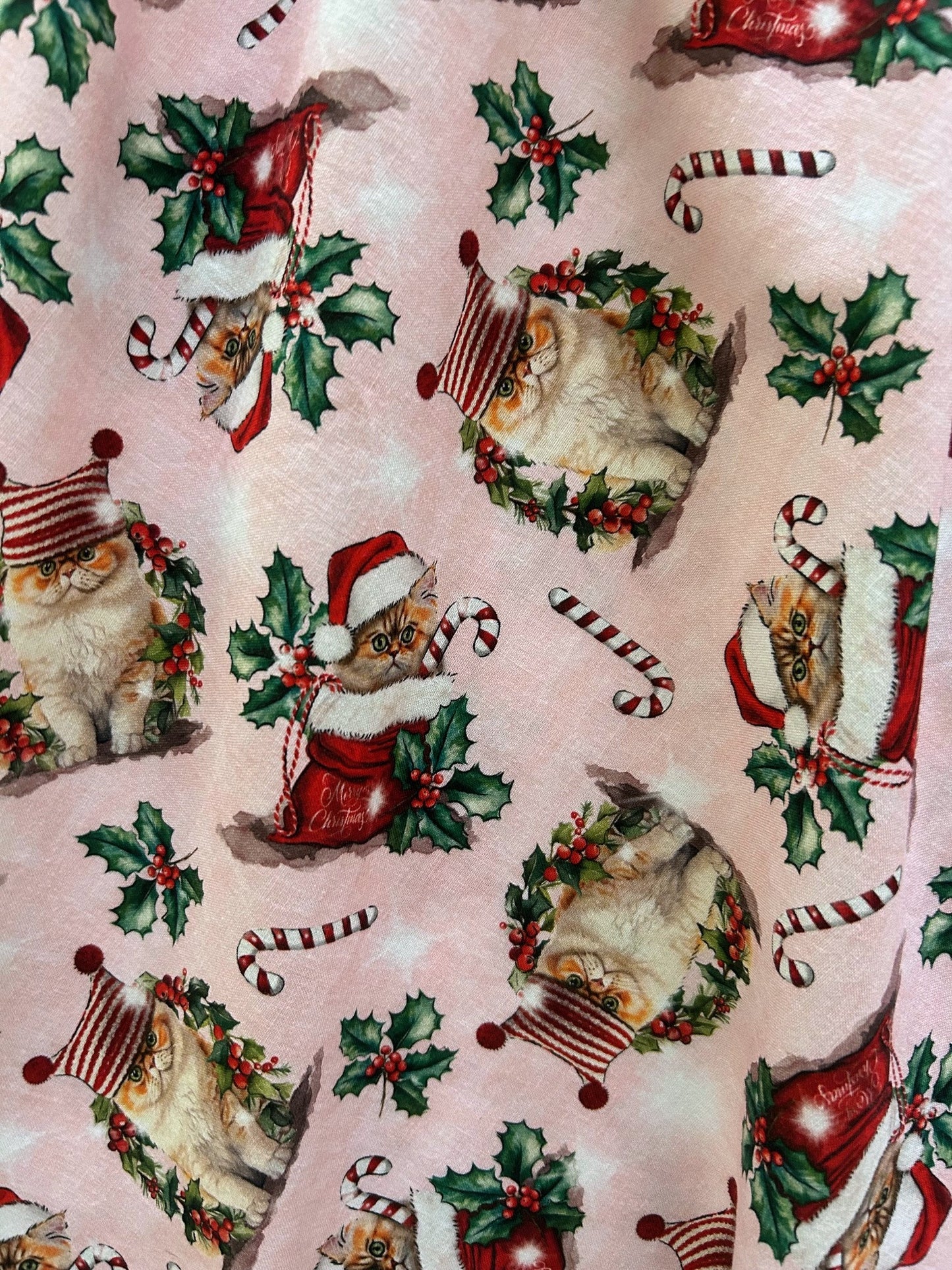 holiday cats on a pink background