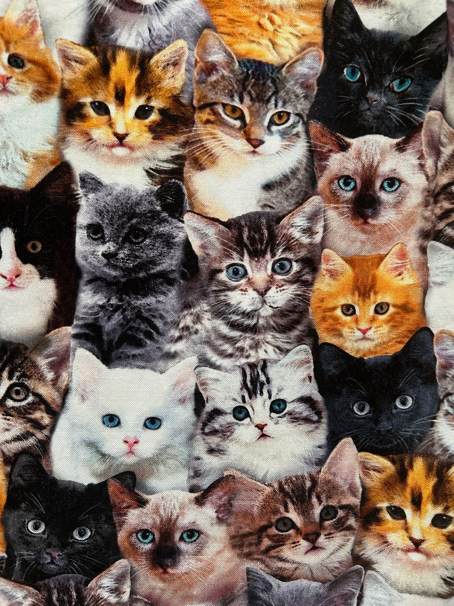 close up print realistic cats a-line skirt