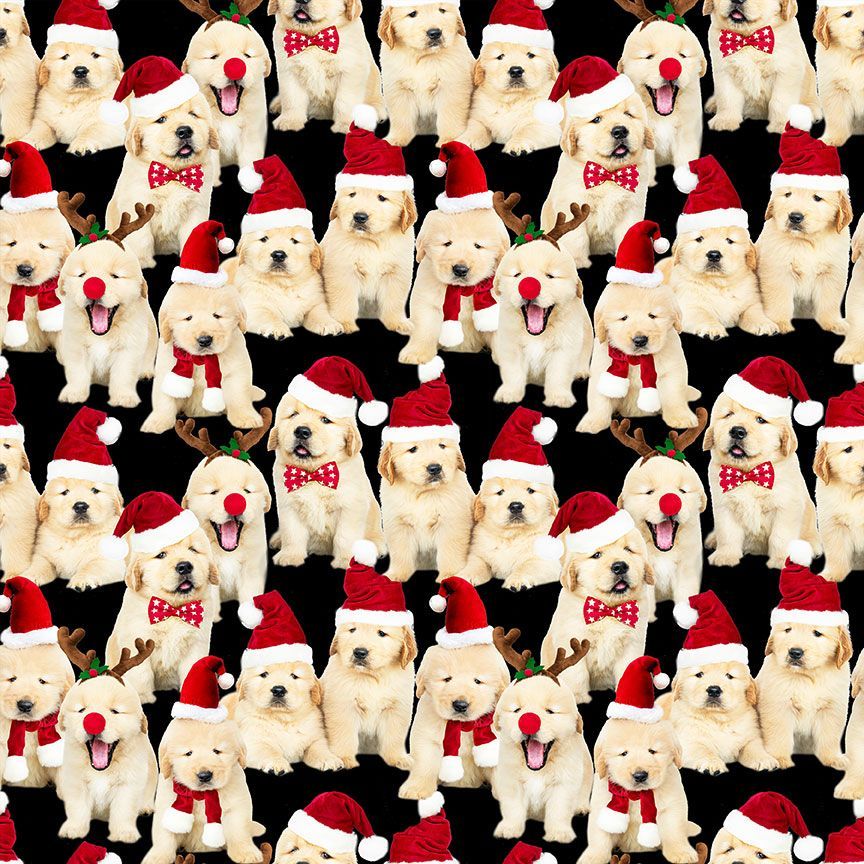 dogs in santa hats on black background