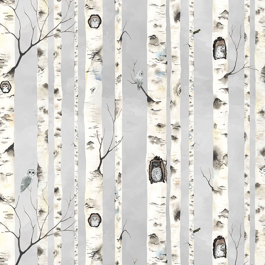 image of owls hiding in birch tress on grey background