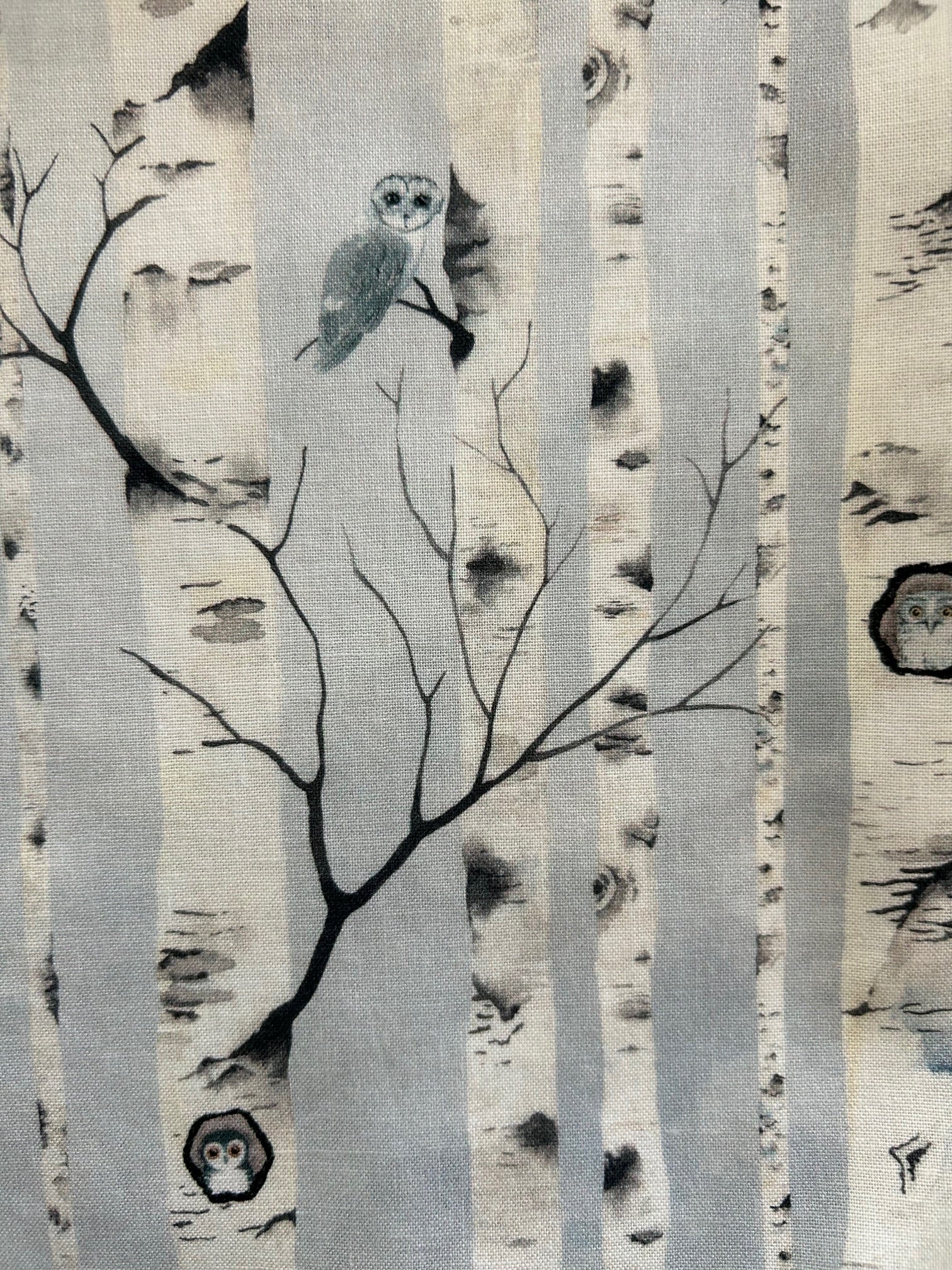 a close up of print showing owls hiding in birch trees