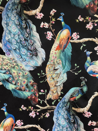close up showing the detail of peacok on brances on black backround