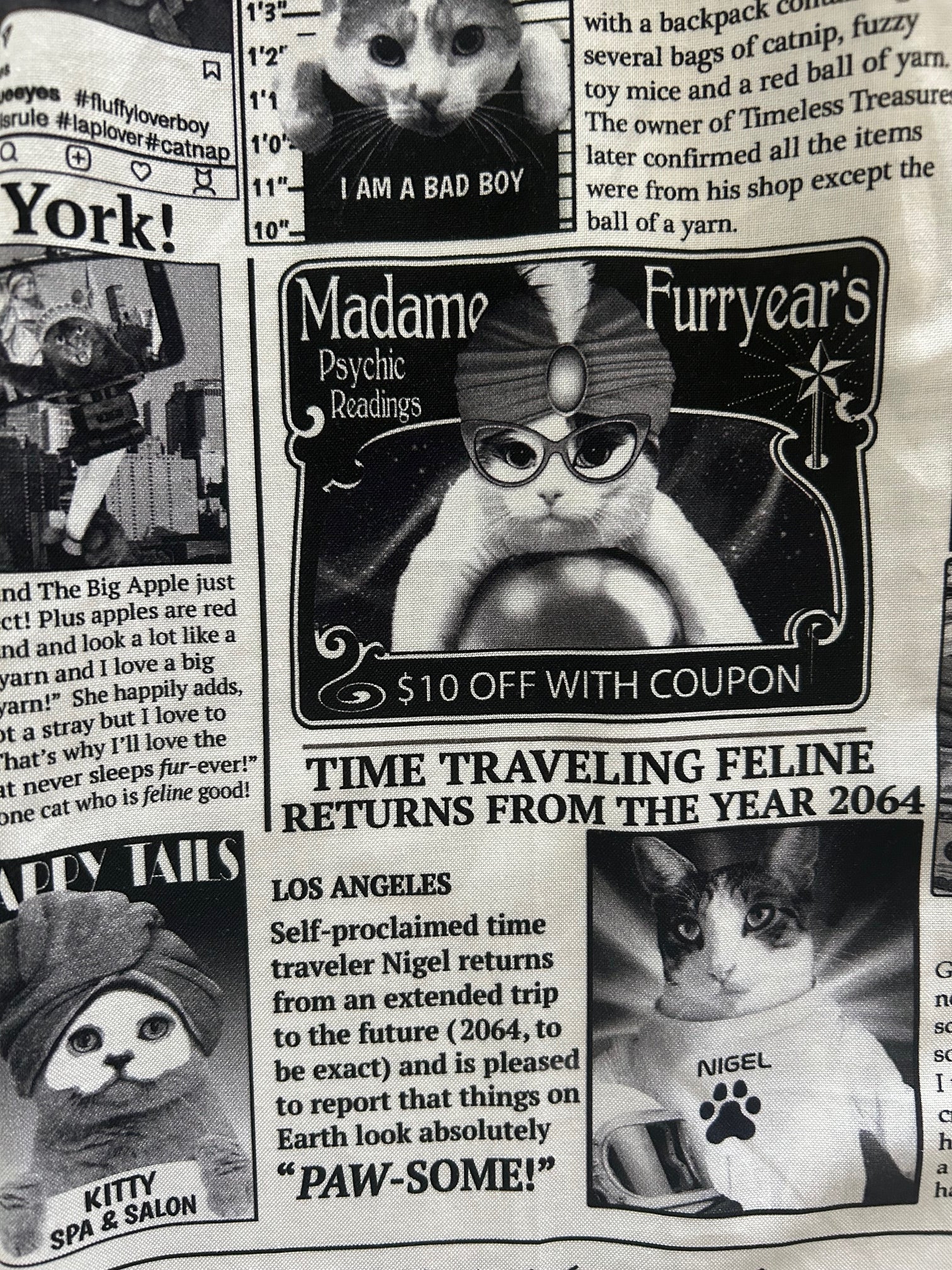 close up of newspaper cats print