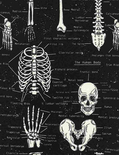a close up of the fabric print of our glow skull & bones skater dress showing the anatomical names of different bones in black and white
