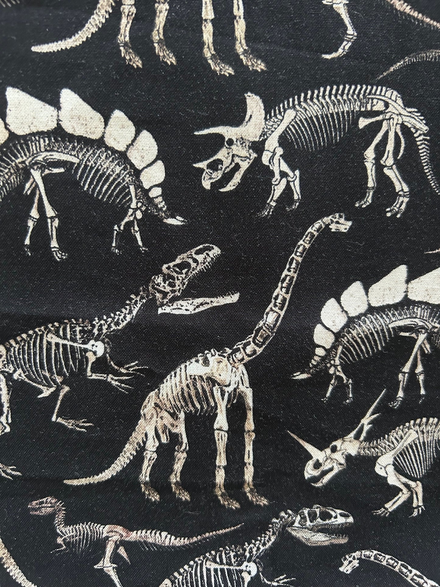 Illustrations of dinosaur skeletons on a black background