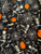 4902 Glow in the Dark Dancing Bones Skater Skirt