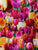 5058 Tulips Fit & Flare Dress