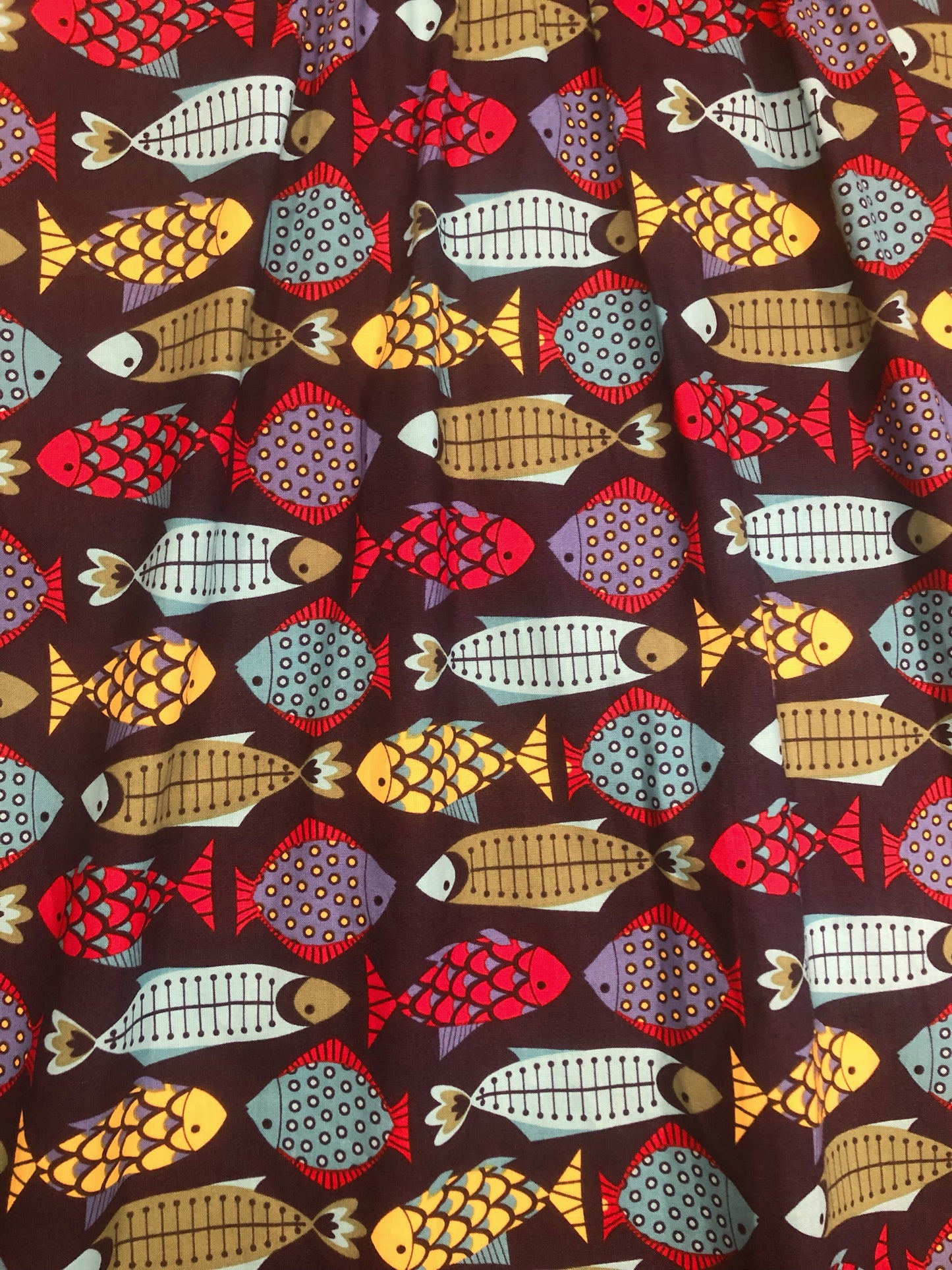 colofrul fish with different patterned designs 