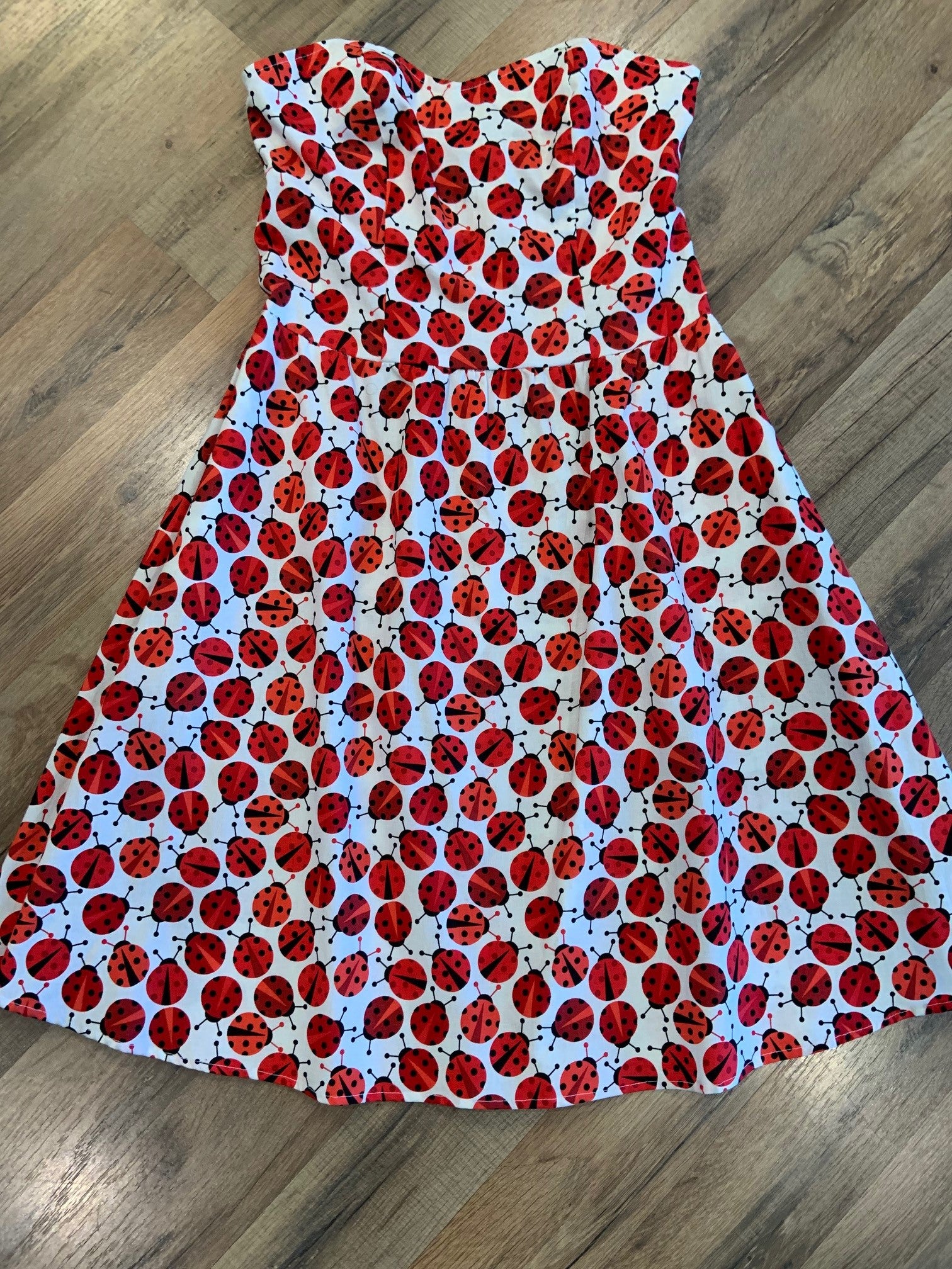 a flat lay of ladybugs dress